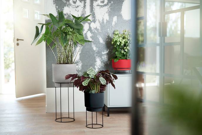 b.for studio round 30cm living concrete